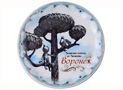 ГС Магнит-тарелочка Воронеж (2328397)