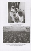 Подводный флот Гитлера - 2