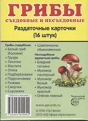 Грибы съедобные и несъедобные. 16 раздаточных карточек с текстом