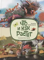 Что и как растет