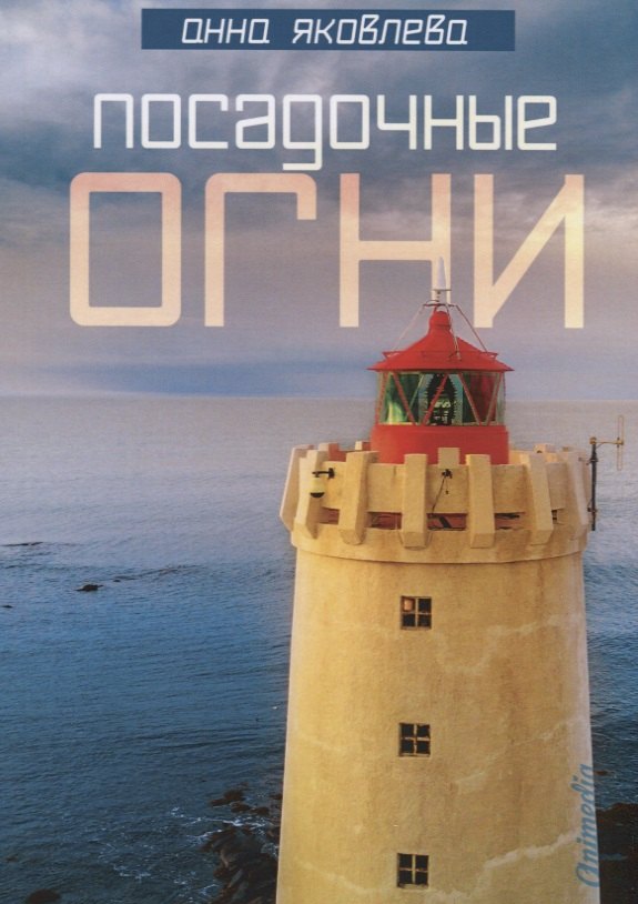 

Посадочные огни. Женский роман