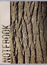 Тетрадь в клетку Listoff, Wood Texture, А4, 80 листов