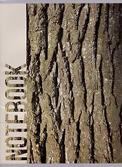 Тетрадь в клетку Listoff, Wood Texture, А4, 80 листов