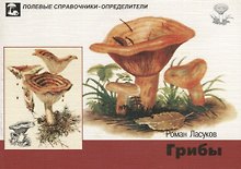 Грибы. Карманный определитель грибов средней полосы Европейской части России