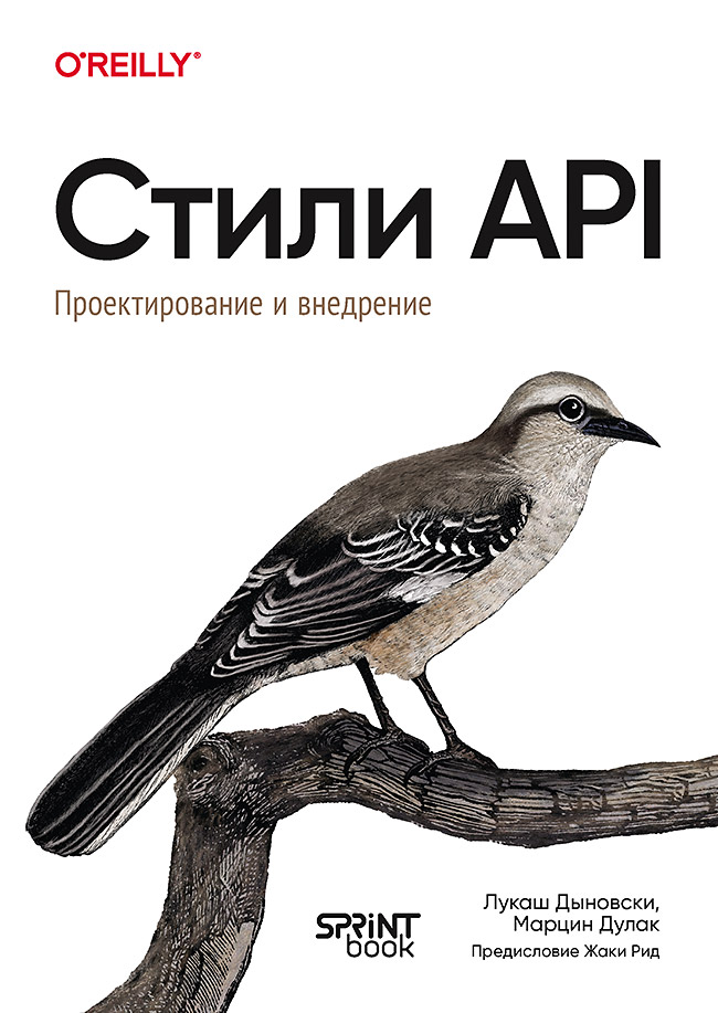 Обложка книги «Стили API. Проектирование и внедрение»