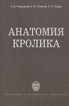 Анатомия кролика