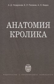 Анатомия кролика
