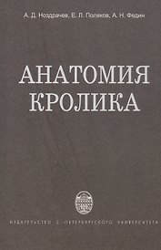Анатомия кролика
