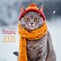 Календарь 2026г 320*320 "Кошки" настенный, на спирали - 0