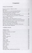 Культура поэзии. Статьи, очерки, эссе - 1