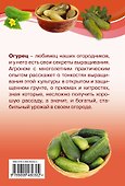 Огурцы. :Что сделать, чтобы всегда быть с урожаем. - 1