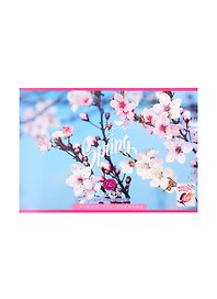 Альбом для рисования «Spring bloom» BG А4, 16 листов, скрепка, в ассортименте