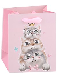 Пакет А6 14*11,5*6 "Kittens on party" жен., бум.мат.ламинат 