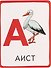 Азбука с играми. Развитие речи. 50 карт 3+ - 2