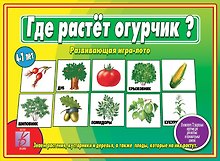 Где растёт огурчик? Развивающая игра-лото