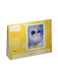 Набор для творчества MySweeBe TOYZY "Картина из шерсти Северная сова"