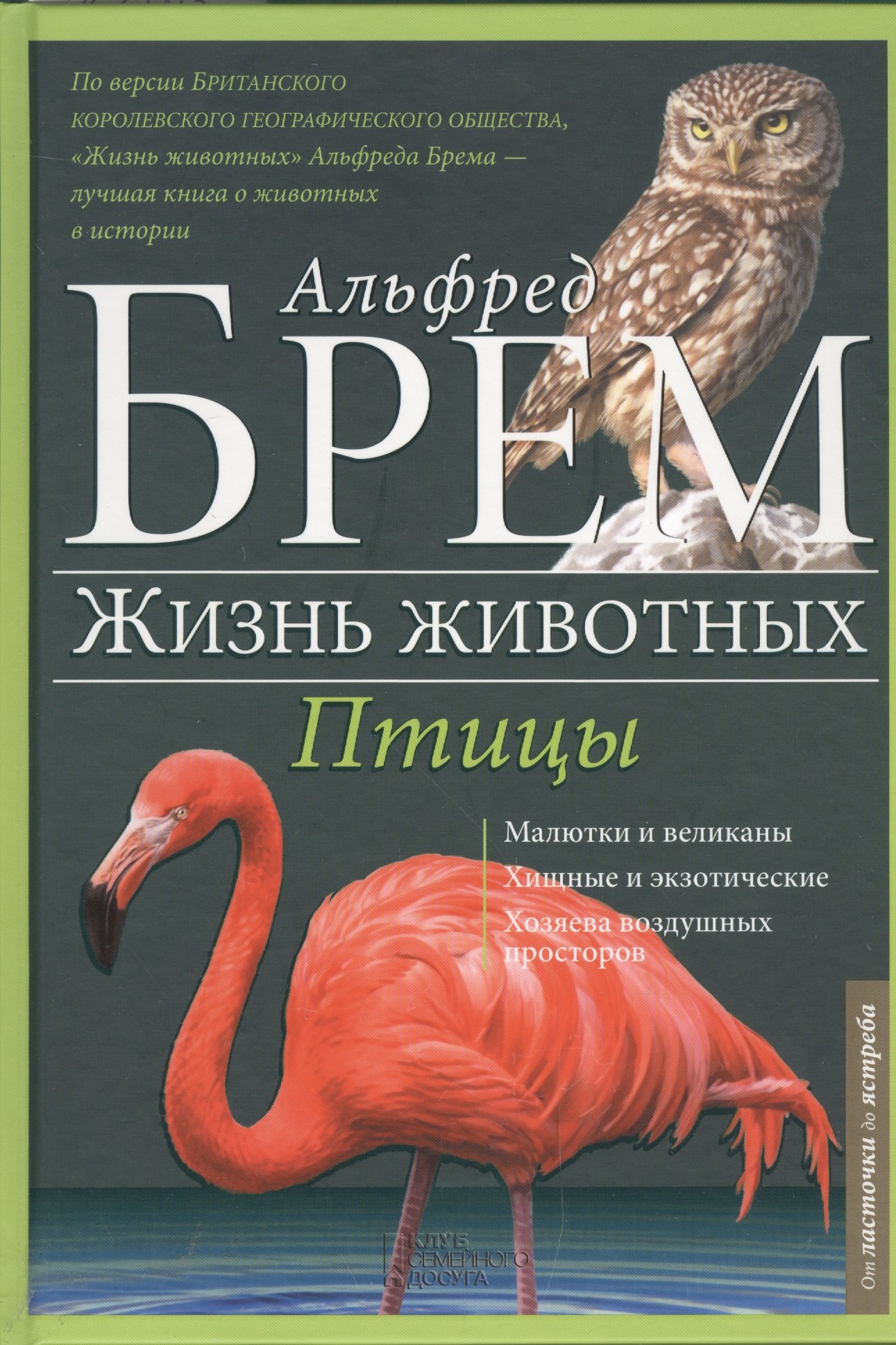 

Птицы Л-Я