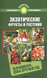 Экзотические фрукты и растения: выращиваем дома круглый год