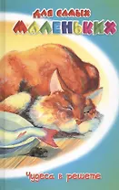 Чудеса в решете