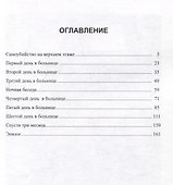 Разноцветные камни. Роман - 2