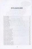 Печать Магуса. Дженни Далфин и Скрытые земли. Книга третья - 2