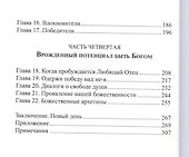 Архетипы внутренней семьи Психология эпохи Водолея (Хэнстке) - 2