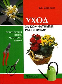 Уход за комнатными растениями: практические советы любителям цветов