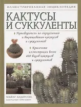 Кактусы и суккуленты