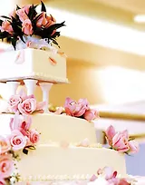 Пластиковый пакет (26х33х13) (16115) (Феникс-Презент)