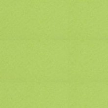 Бумага для пастели 50*65 "Tiziano" 160г/м2 №43 фисташковый, Fabriano