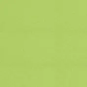 Бумага для пастели 50*65 "Tiziano" 160г/м2 №43 фисташковый, Fabriano