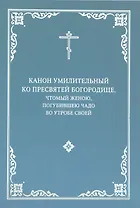 Канон умилительный ко Пресвятой Богородице, чтомый женою, погубившею чадо во утробе своей