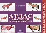 Атлас анатомии домашних животных
