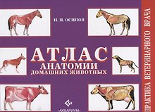 Атлас анатомии домашних животных