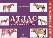 Атлас анатомии домашних животных