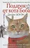 Подарок от кота Боба. Как уличный кот помог человеку полюбить Рождество - 0