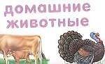 Плакат Цветы Домашние животные (4598) (АСТ)