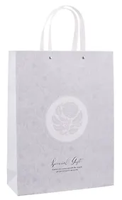 Пакет А3 32*42*11,5 "Special gift" жен., бум.мат.ламинат