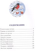 Выдумки кота Пиквика и Розочка-шалунья - 1