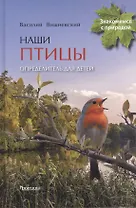 Наши птицы.Определитель для детей