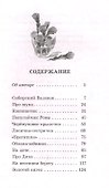 Сибирский Валенок. Рассказы - 1