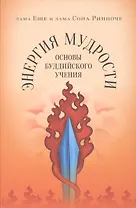 Энергия мудрости: основы буддийского учения