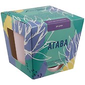 Набор д/выращивания растений Тысяча листьев, Агава - 0