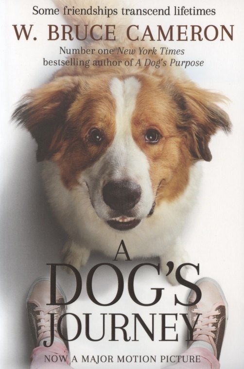 

A Dog’s Journey