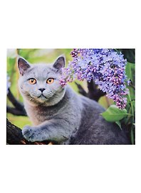 Набор для творчества Рыжий Кот. Алмазная мозаика «Любопытный котик», 30 х 40 см, 28 цветов