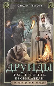 Друиды. Поэты, ученые, прорицатели