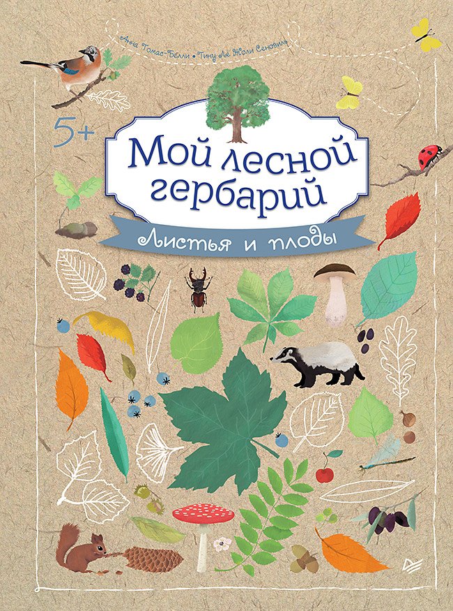 

Мой лесной гербарий