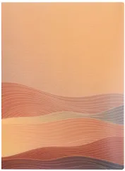 Папка 40ф А4 "Дюны"