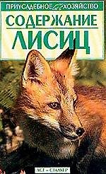 Содержание лисиц.