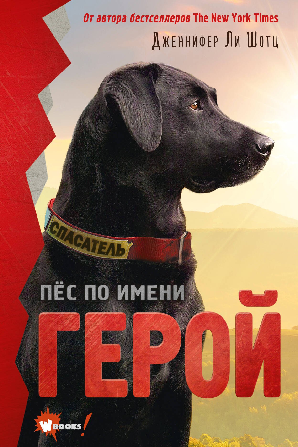 

Пес по имени Герой